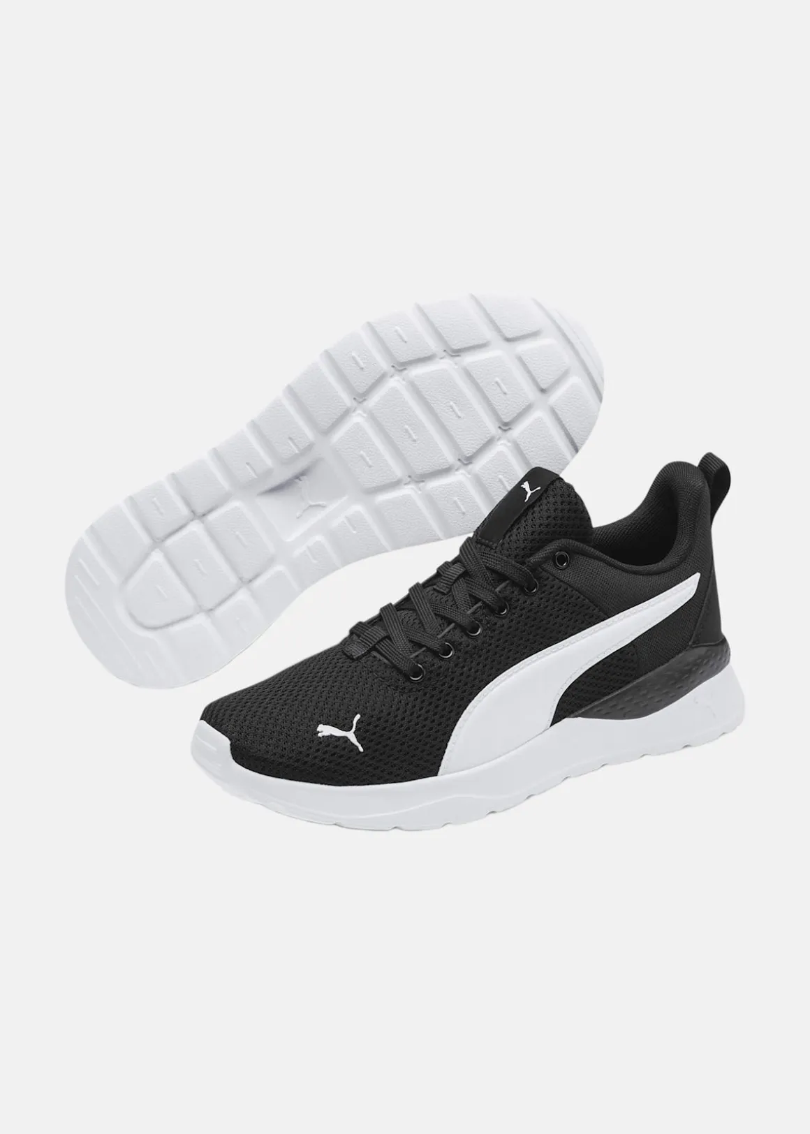 Anzarun Lite Jr
