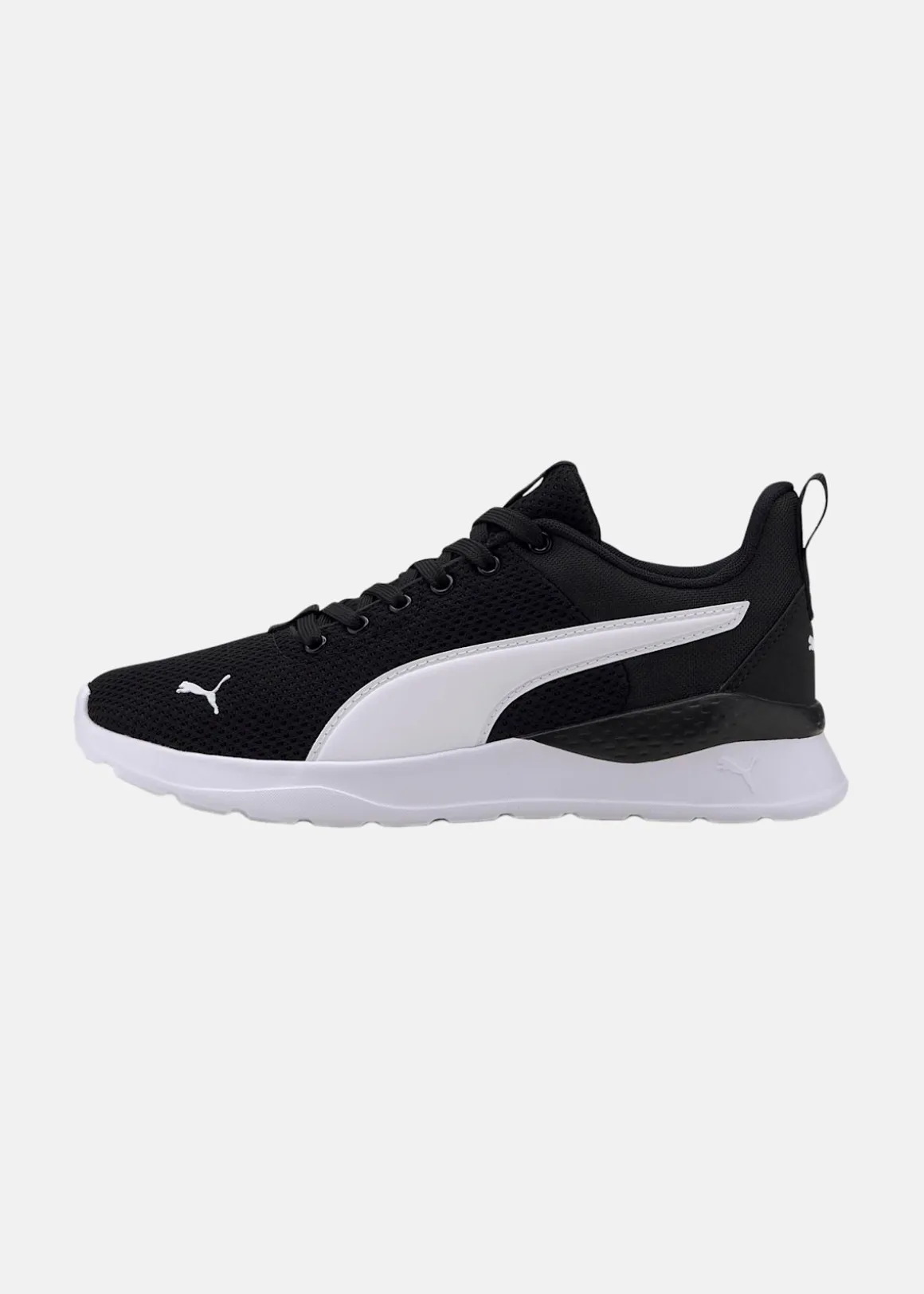 Anzarun Lite Jr