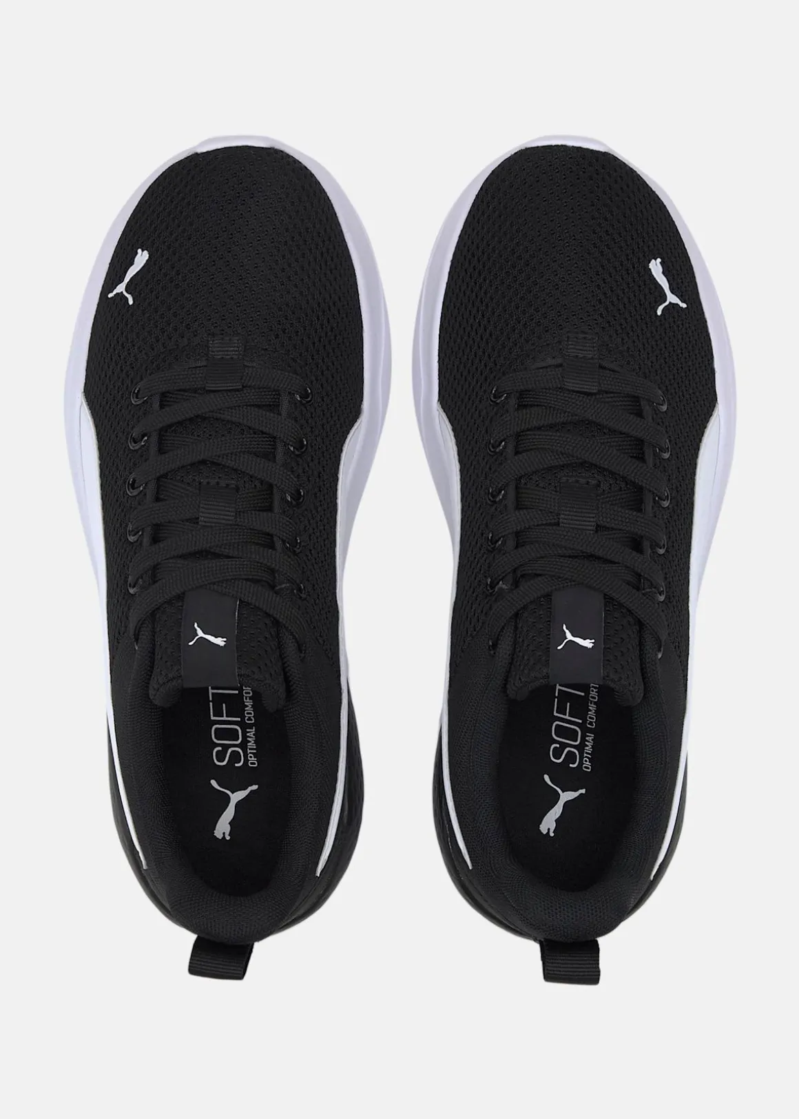 Anzarun Lite Jr
