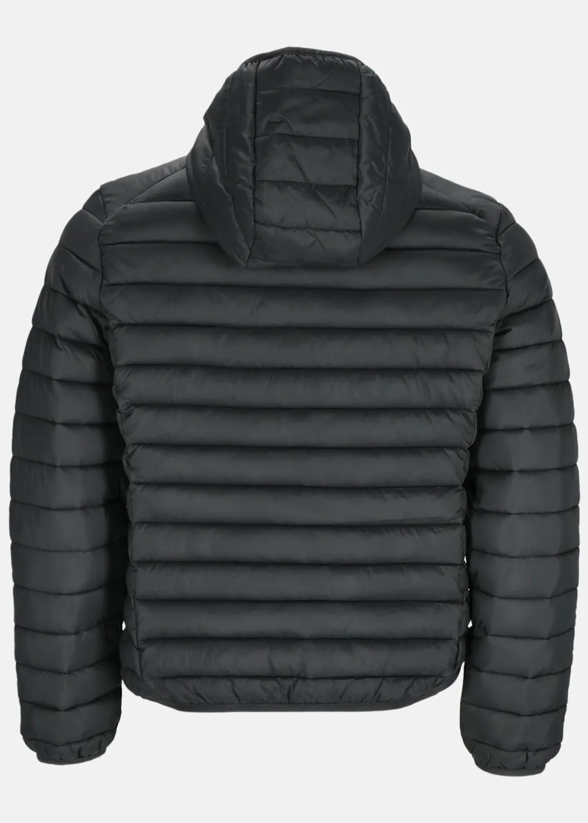 BRAD JACKET