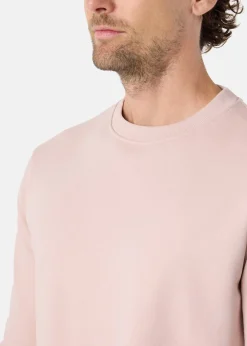 College Sweater