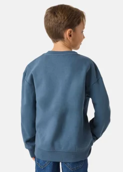 College Sweater JR