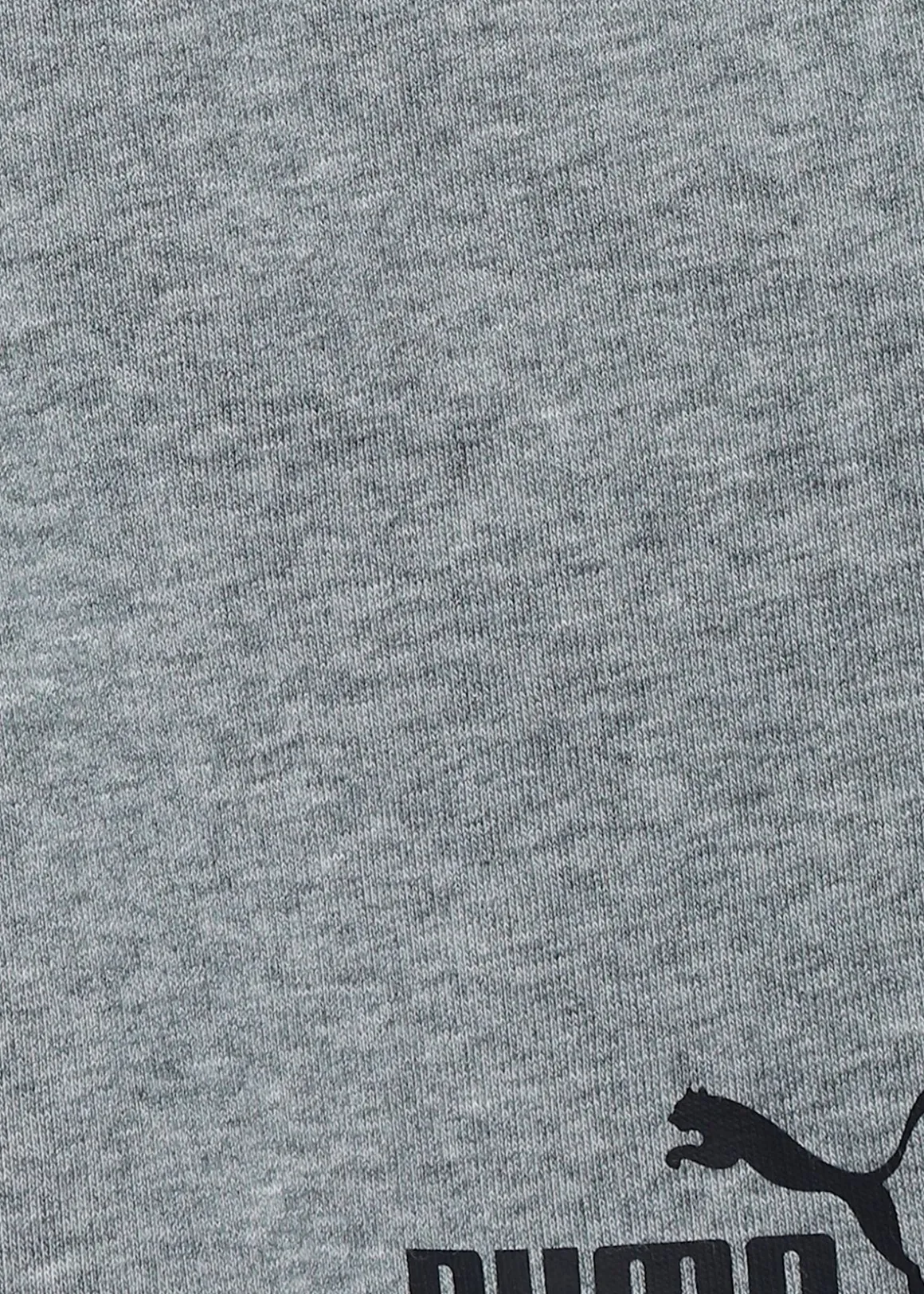 ESS Sweat Shorts B