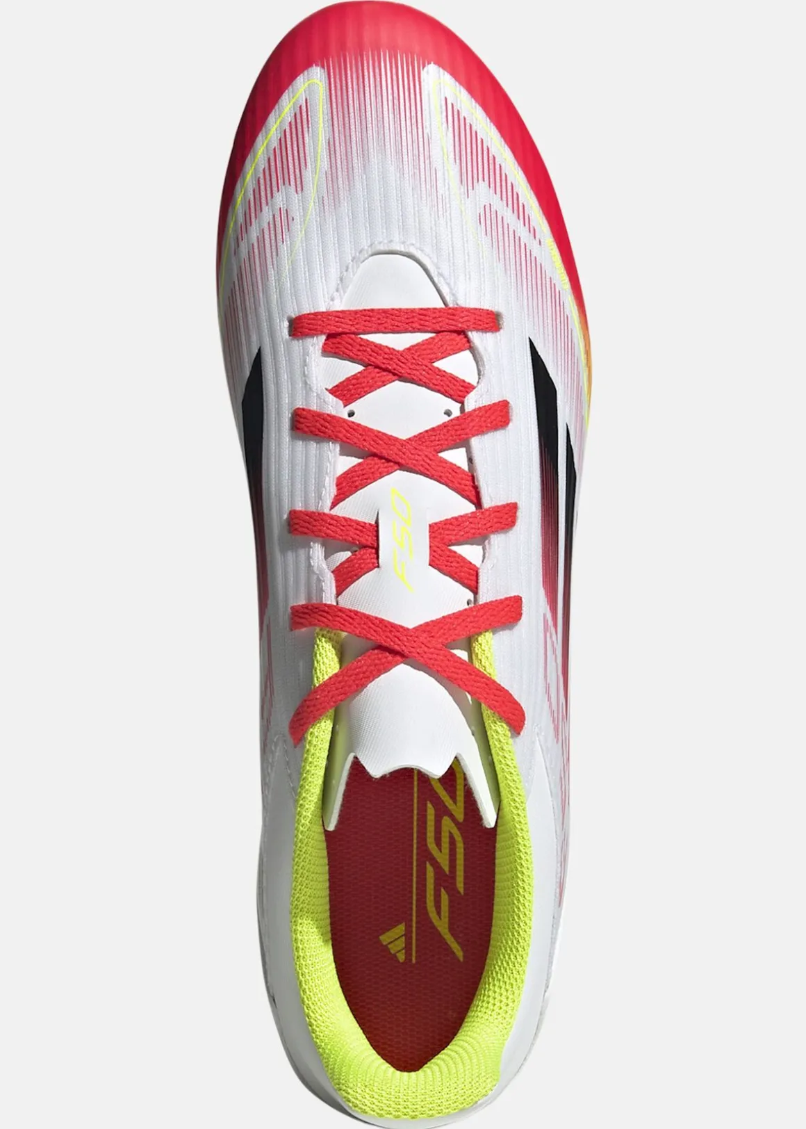 F50 CLUB FG/MG