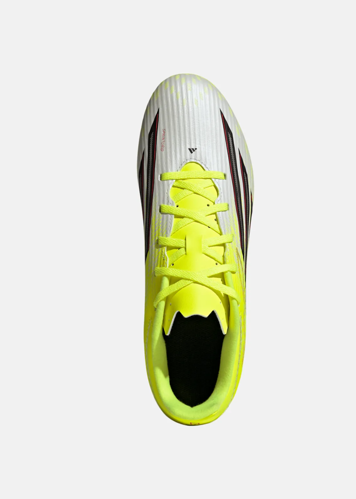 F50 CLUB FG/MG