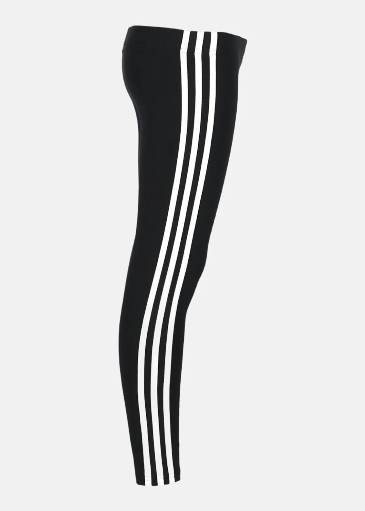 G 3S LEG