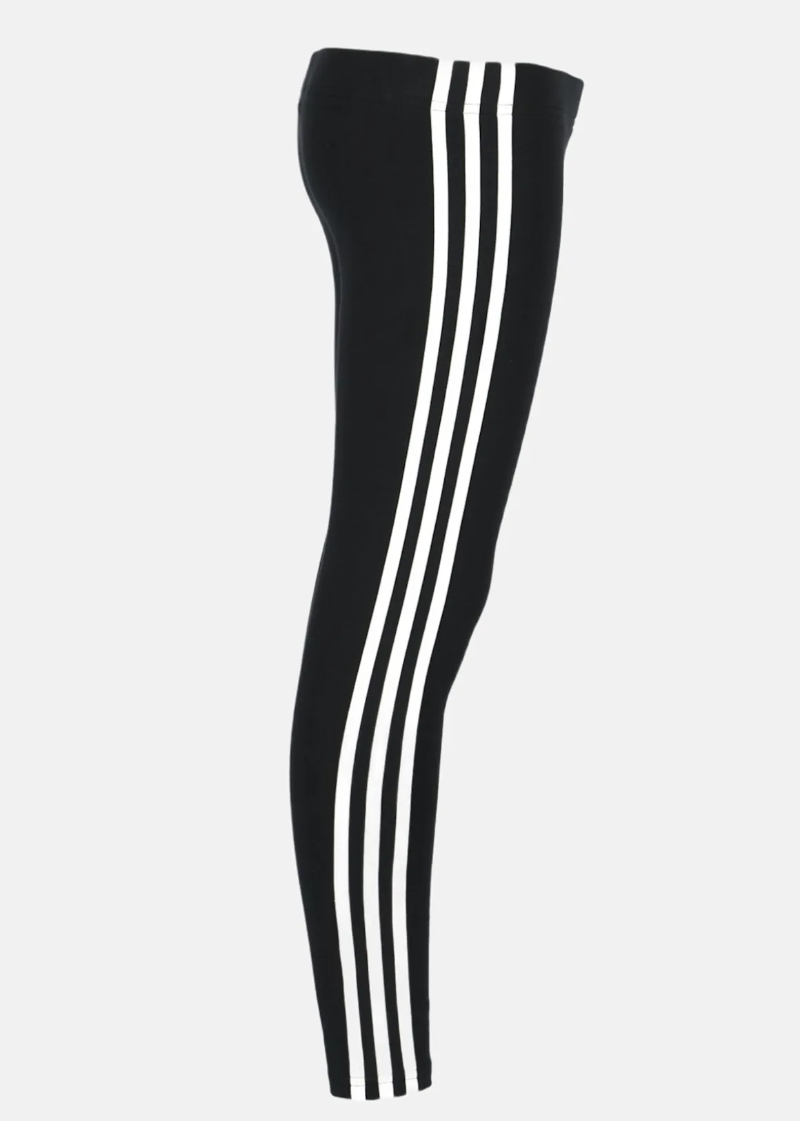 G 3S LEG