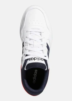 HOOPS 3.0