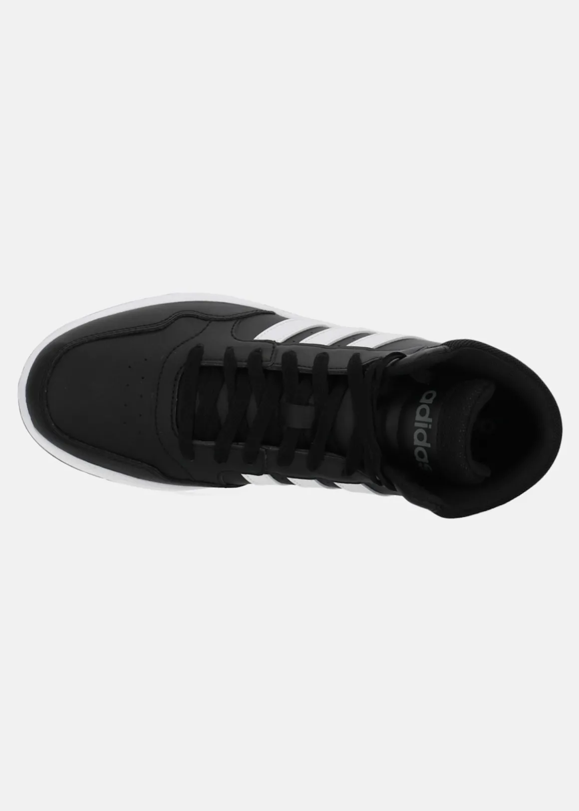 HOOPS 3.0 MID