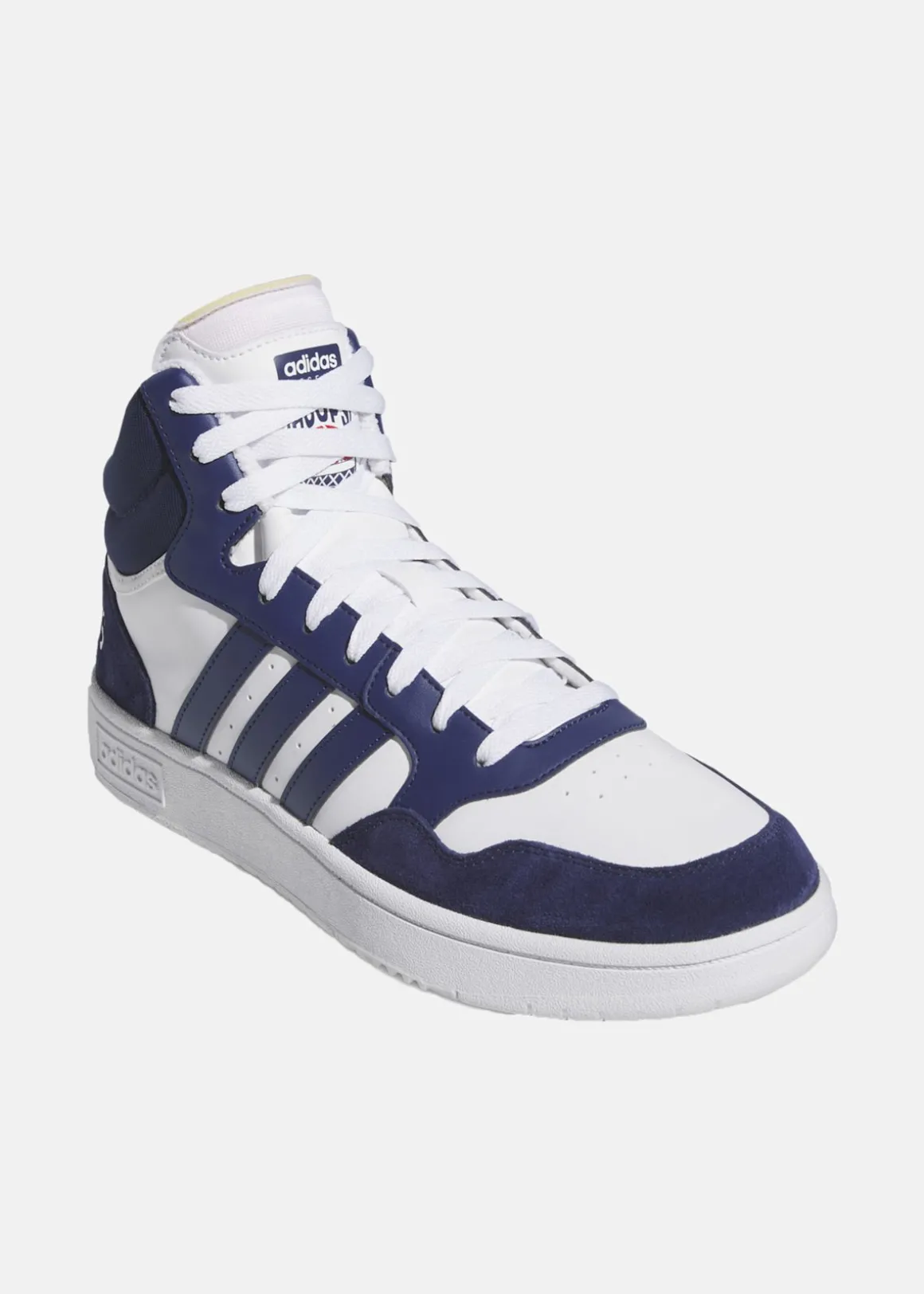 HOOPS 3.0 MID