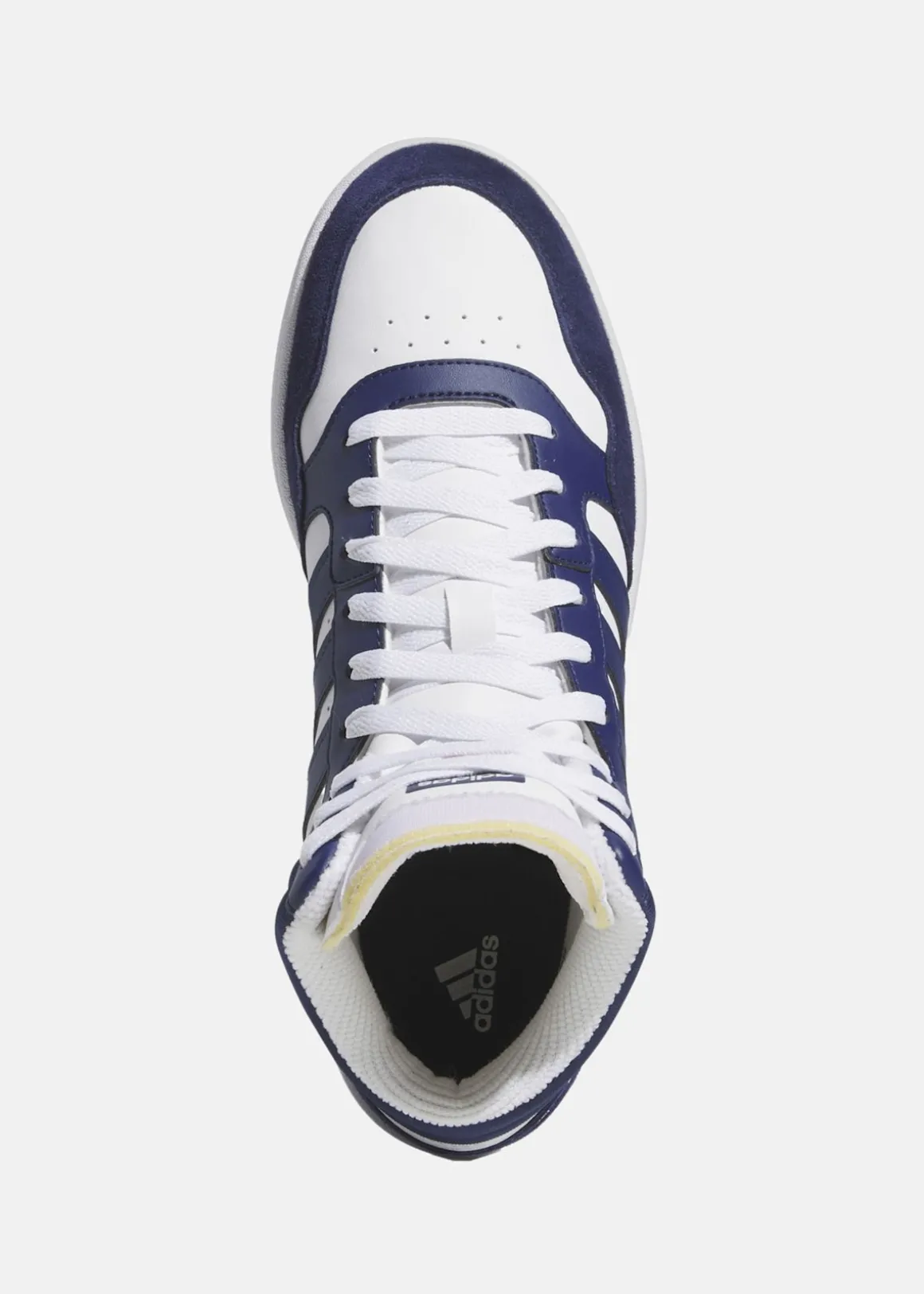 HOOPS 3.0 MID