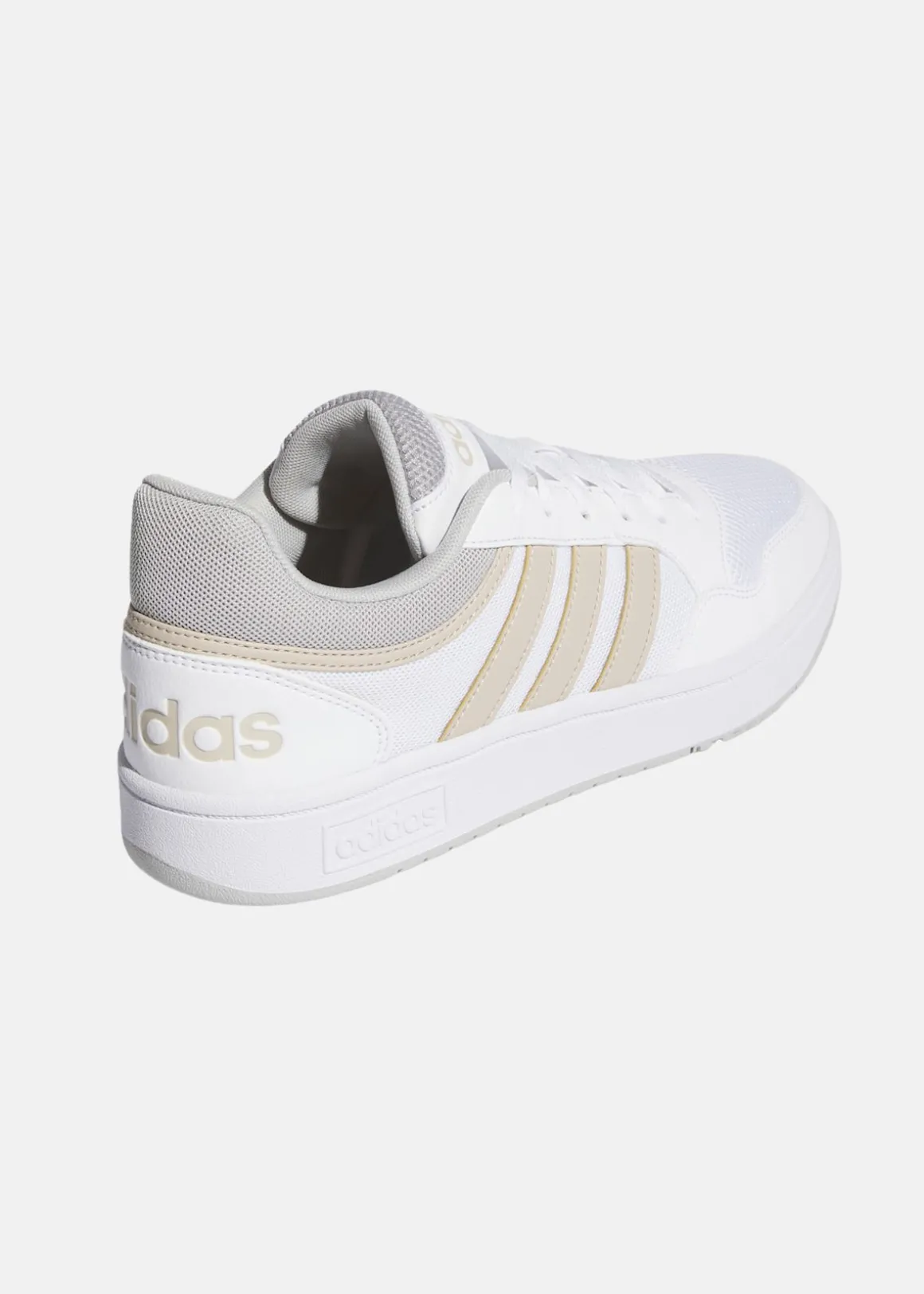 HOOPS 3.0 SUMMER