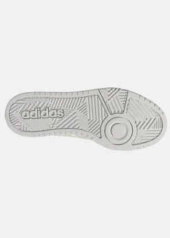 HOOPS 3.0 SUMMER