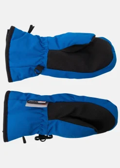 PROOF MITTENS