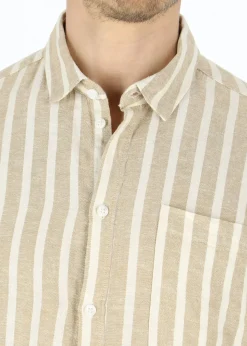 SDFried