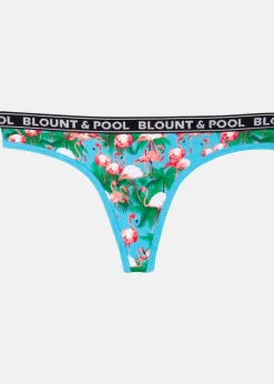 Tropical String 4-pack