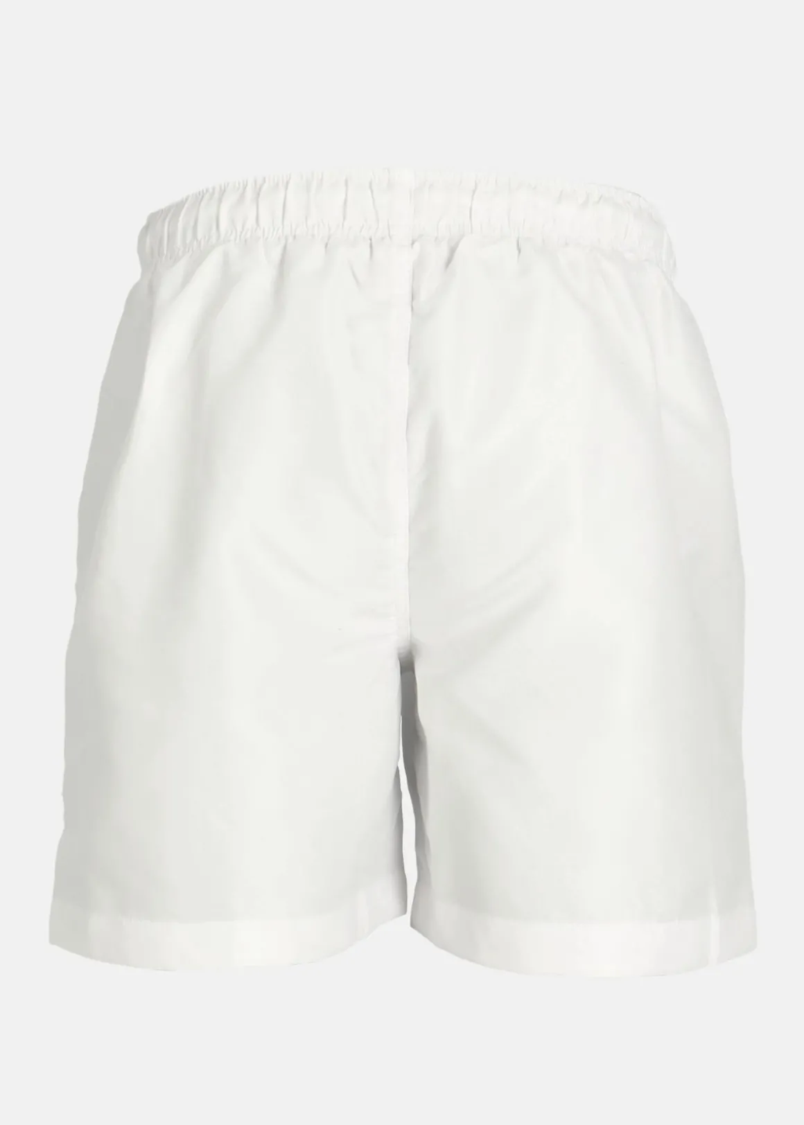 Venice Beach Swim Shorts