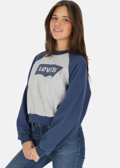 VINTAGE RAGLAN